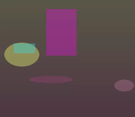 球队资料