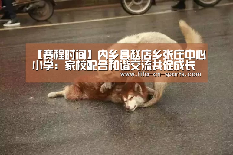 赛程时间