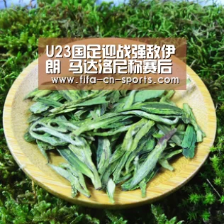 赛程时间