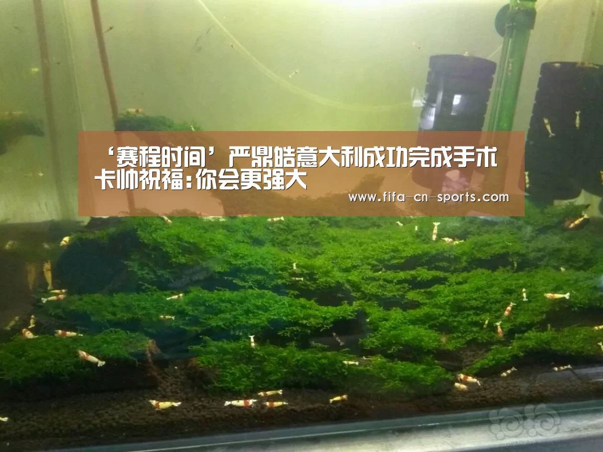 新闻快讯