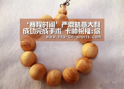 球队资料