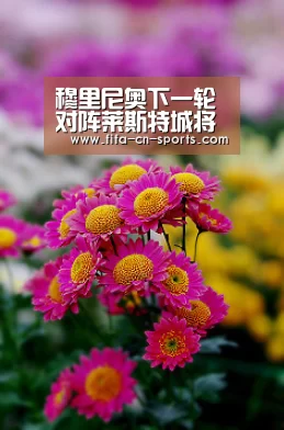 穆里尼奥下一轮对阵莱斯特城将弃用鲁尼？【